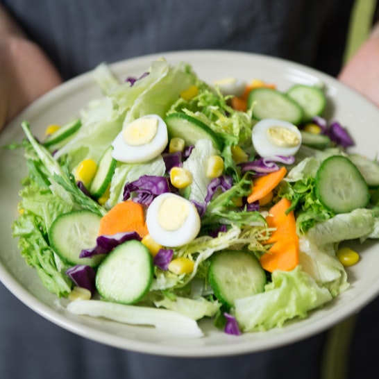 Raw Food Diet Transition